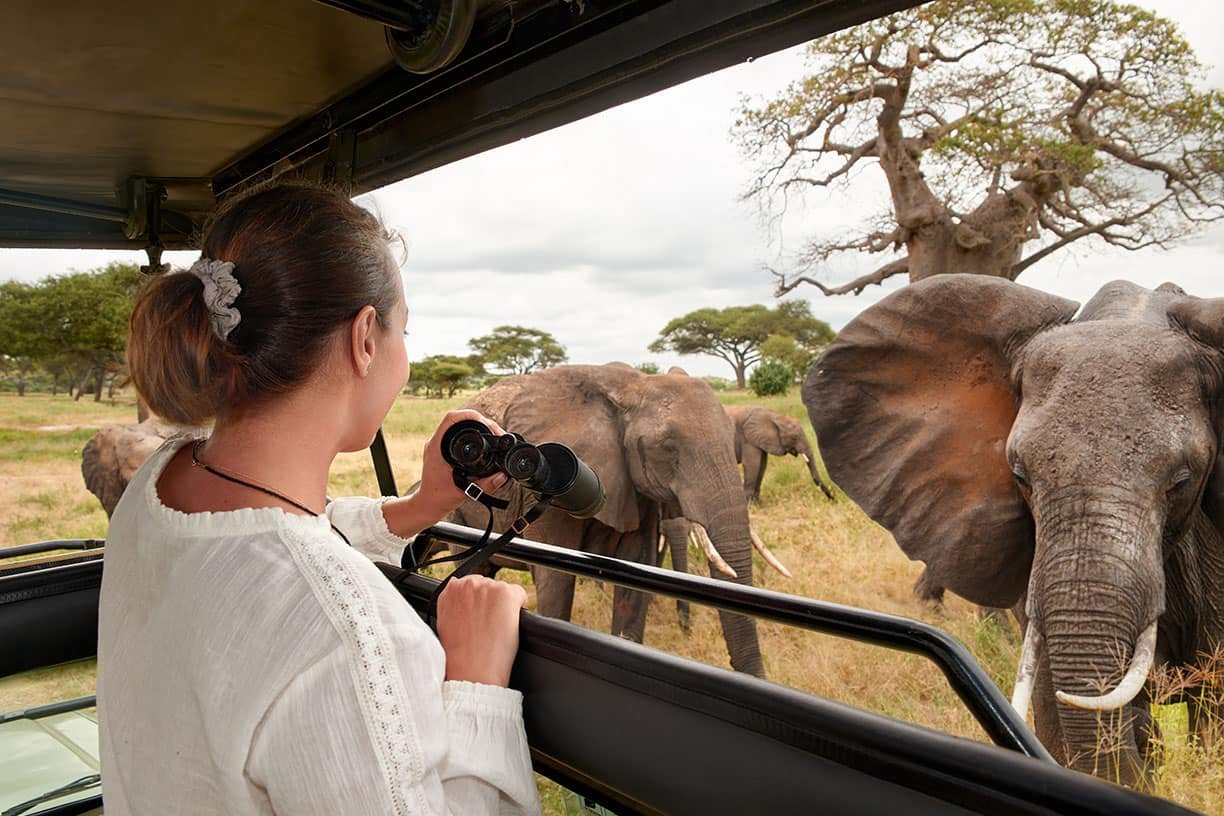 Tanzania Safari Packages Complete Travel Guide