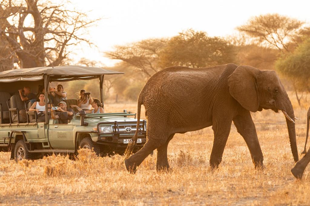 tanzania_tarangire_olkeri_camp20 Ngaiza Adventures | About Us